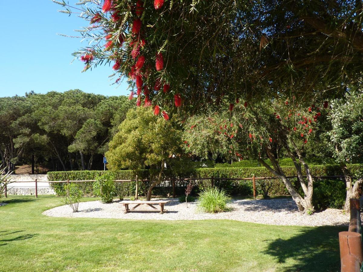 Apartamento Moura - Praia D'El Rey Golf, Surf & Beach Resort Praia del Rei エクステリア 写真